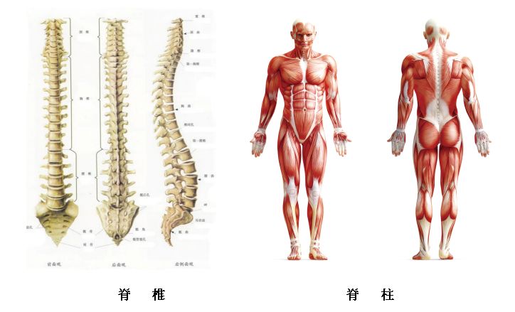 1613540270976697.png 1613540270976697.png