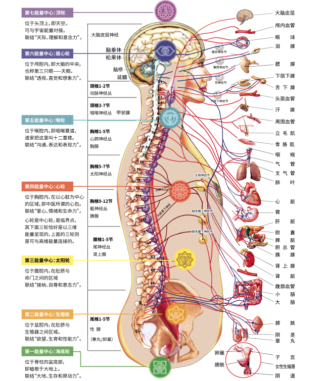 1613540309466455.png 1613540309466455.png