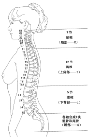 1613546915299897.png 微信图片_20210217152749.png