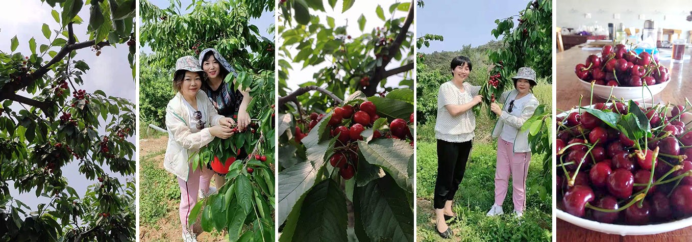 1622621612953278.jpg 1622621612953278.jpg