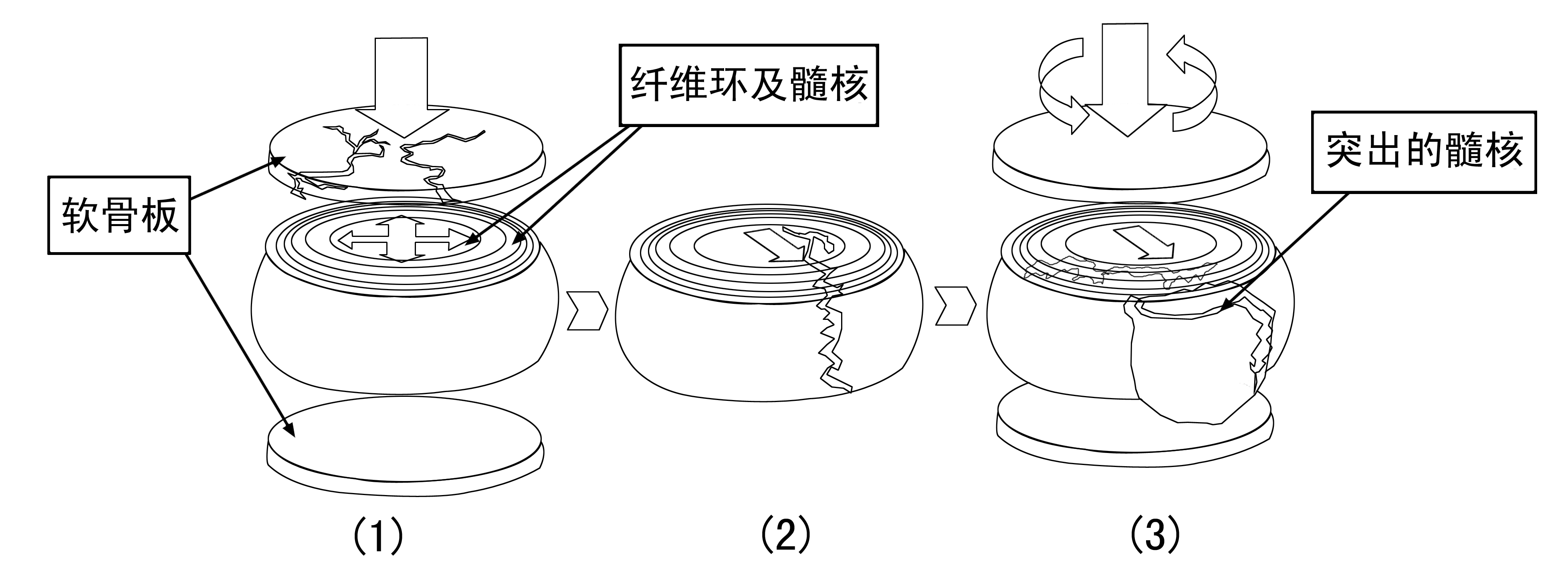 1627547939300671.png 1627547939300671.png